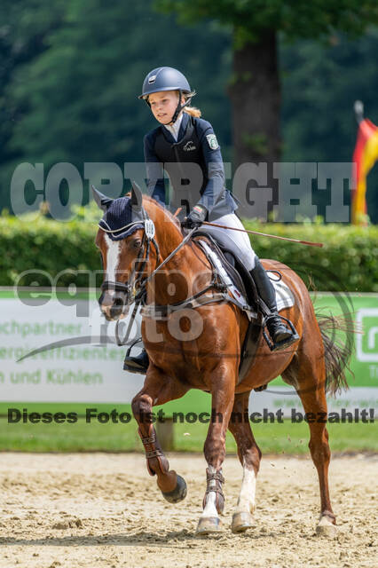 Goldene Schärpe 2021 - Ponys