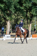 Kronenberg - De Peelbergen (August 2020)
