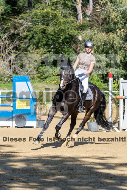 RFV Dinslaken-Hiesfeld (Herbstturnier)