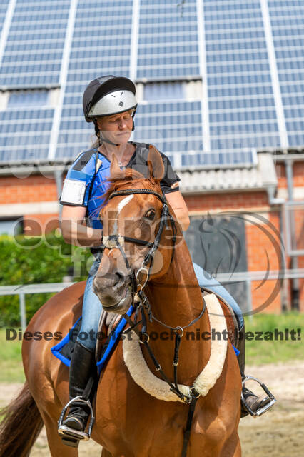 Hunter Geländetraining 10.07.2021 (Sonsbeck)