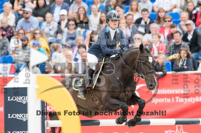 FEI European Championship