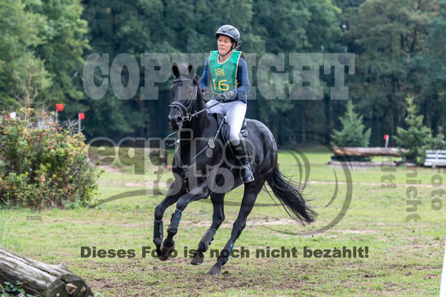 Vielseitigkeit RSV Wesel Obrighoven (26.+27.09.2020)