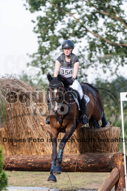 De Peelbergen (August 2020)