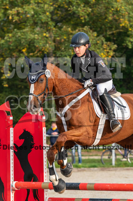 Goldene Schärpe 2020 - Pferde