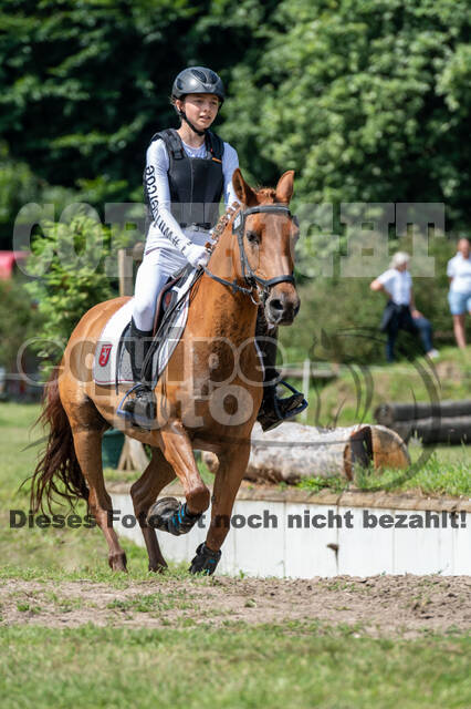 Goldene Schärpe 2021 - Ponys