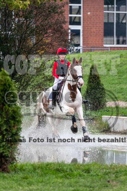 Goldene Schärpe 2020 - Pferde