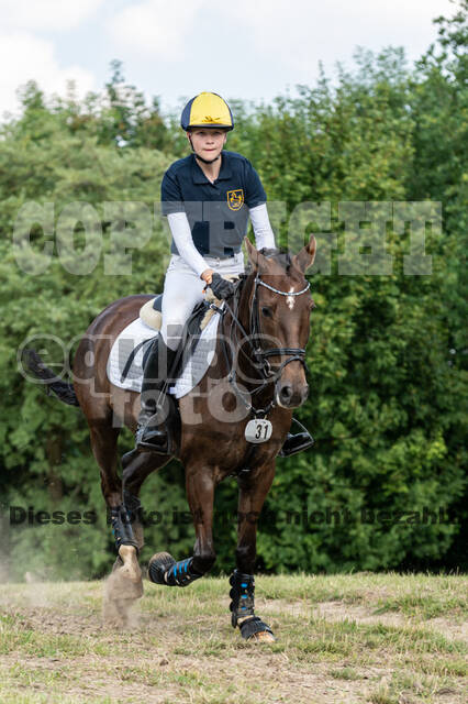 Goldene Schärpe 2021 - Ponys