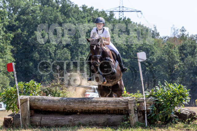 Late-Entry Vielseitigkeit Hamminkeln/Wesel (01.+02.08.2020)
