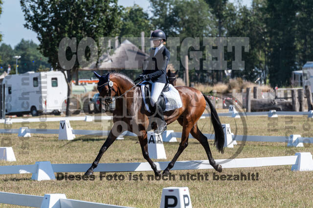 Kronenberg - De Peelbergen (August 2020)