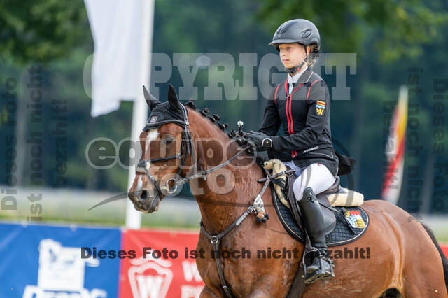 Goldene Schärpe 2021 - Ponys