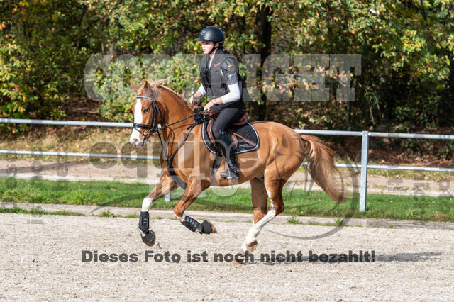 IGV Lehrgang der Sieger der Cups mit Frank Ostholt