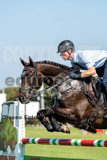 Kronenberg - De Peelbergen (August 2020)