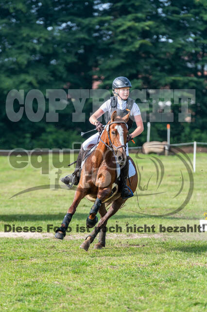 Goldene Schärpe 2021 - Ponys