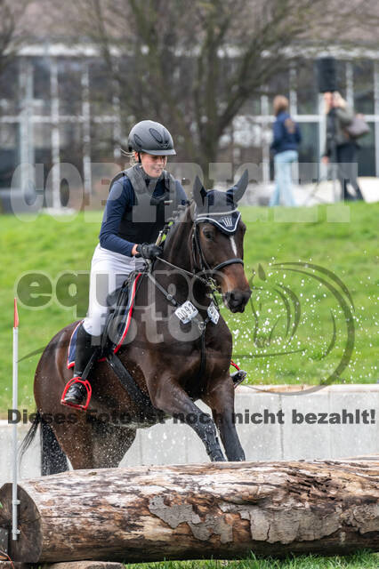 Goldene Schärpe 2020 - Pferde