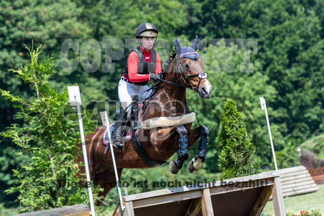 Goldene Schärpe 2021 - Ponys