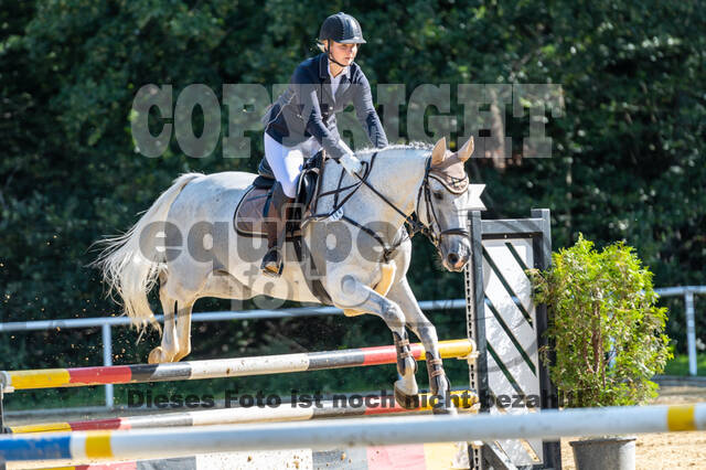 RFV Dinslaken-Hiesfeld (Herbstturnier)