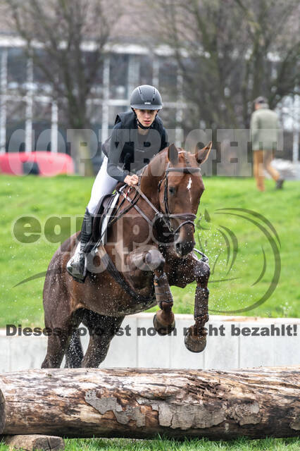 Goldene Schärpe 2020 - Pferde