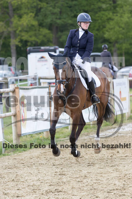 Sterne über Münster 2019 - CCI***S