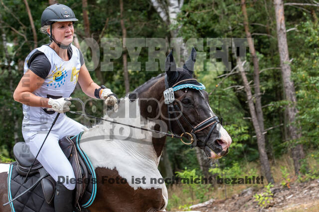Late-Entry Vielseitigkeit Hamminkeln/Wesel (01.+02.08.2020)