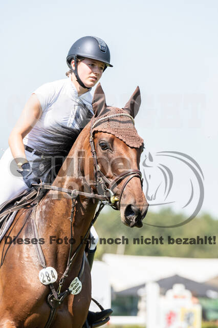 Kronenberg - De Peelbergen (August 2020)