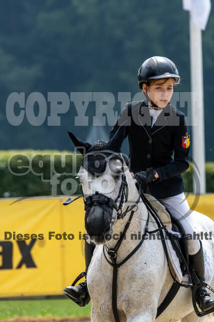 Goldene Schärpe 2021 - Ponys