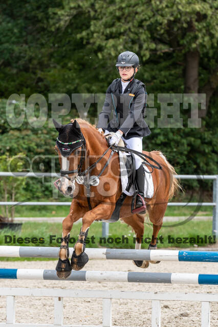 Late-Entry-Vielseitigkeit Langenfeld (06.+07.07.2020)