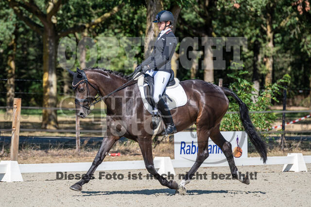 Kronenberg - De Peelbergen (August 2020)