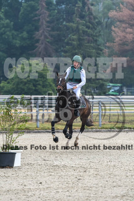 Late-Entry-Vielseitigkeit Langenfeld (11.+13./14.06.2020)