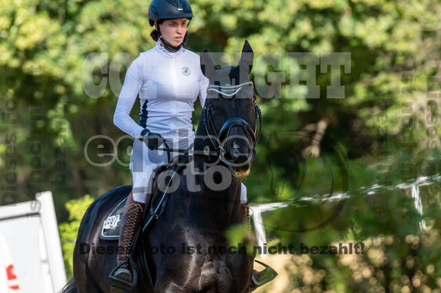 RFV Dinslaken-Hiesfeld (Herbstturnier)