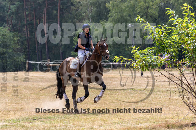 Late-Entry Vielseitigkeit Hamminkeln/Wesel (01.+02.08.2020)