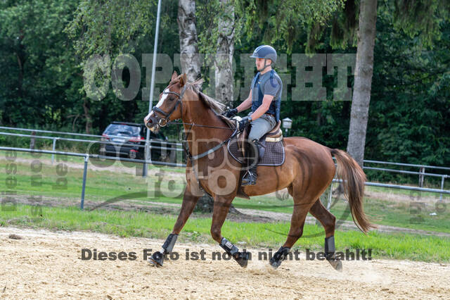 Hunter Geländetraining 10.07.2021 (Sonsbeck)