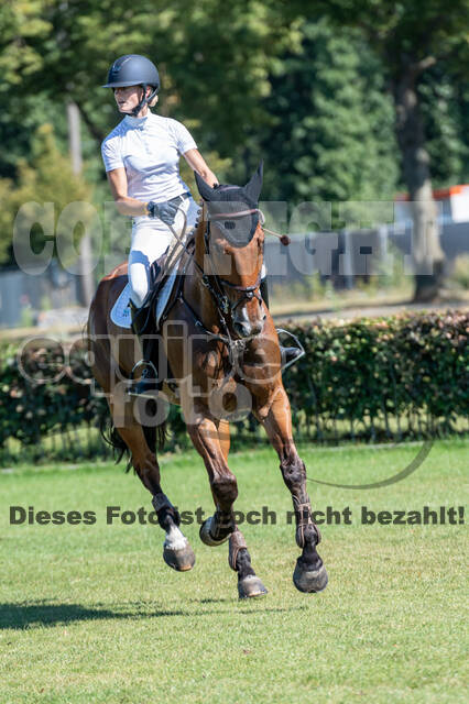 Kronenberg - De Peelbergen (August 2020)