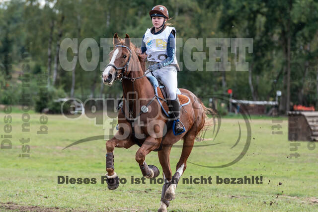 Vielseitigkeit RSV Wesel Obrighoven (26.+27.09.2020)