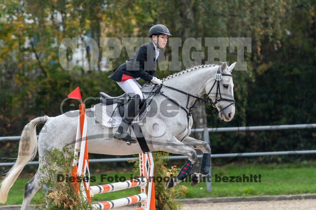 Goldene Schärpe 2020 - Pferde