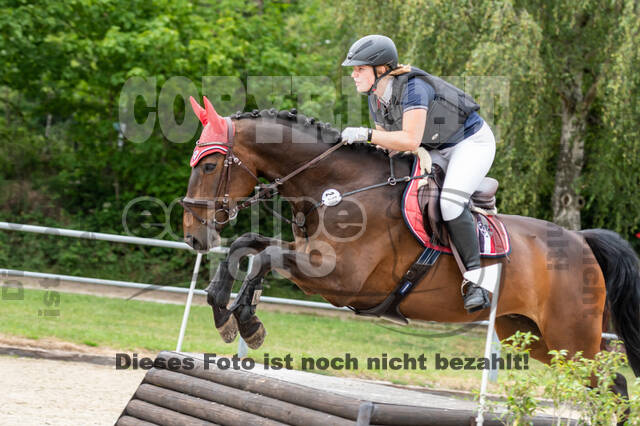 Late-Entry-Vielseitigkeit Langenfeld (11.+13./14.06.2020)