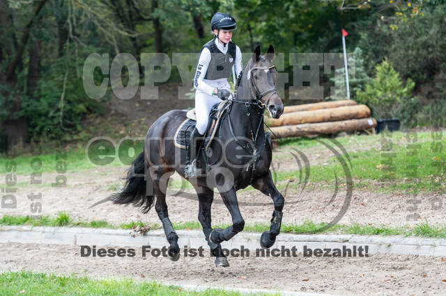 Goldene Schärpe 2020 - Pferde