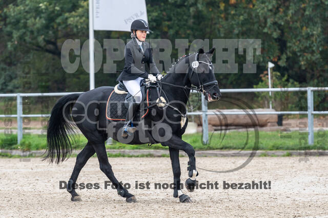 Goldene Schärpe 2020 - Pferde