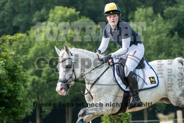 Goldene Schärpe 2021 - Ponys