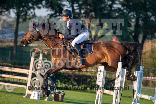 De Peelbergen (August 2020)