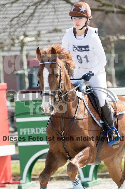 Eventing Langenfeld 2018