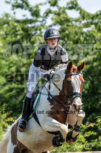 Goldene Schärpe 2021 - Ponys