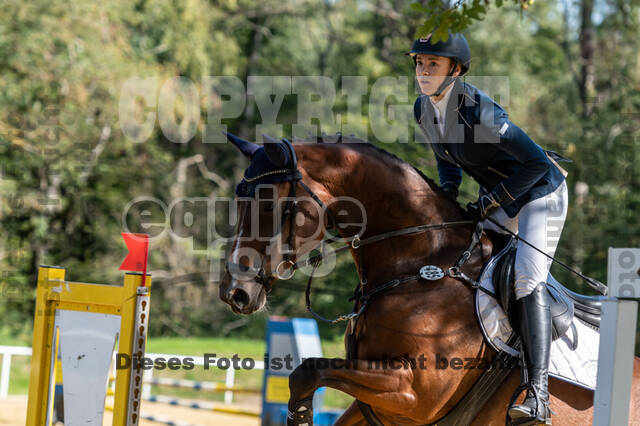 RFV Dinslaken-Hiesfeld (Herbstturnier)