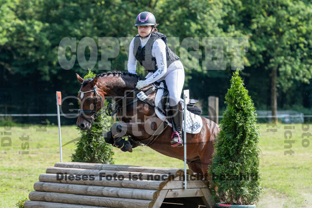 Goldene Schärpe 2021 - Ponys