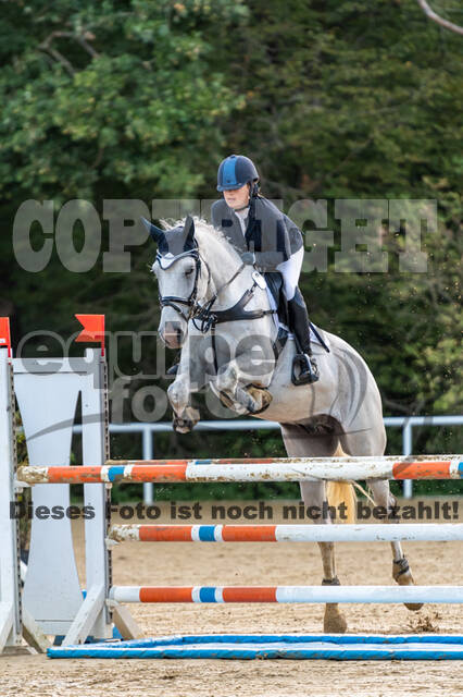 RFV Dinslaken-Hiesfeld (Herbstturnier)