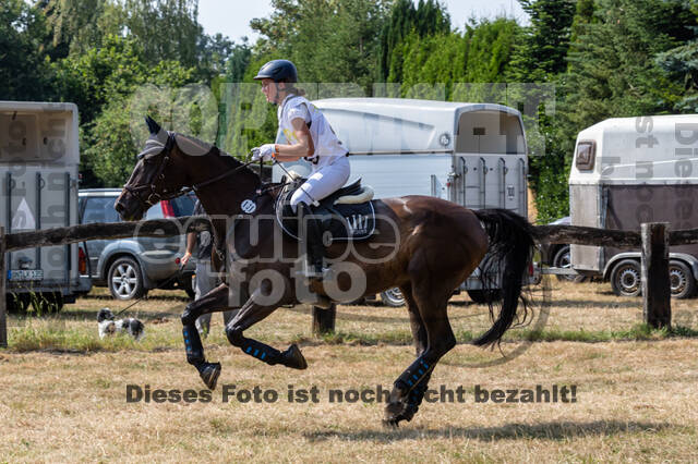 Late-Entry Vielseitigkeit Hamminkeln/Wesel (01.+02.08.2020)