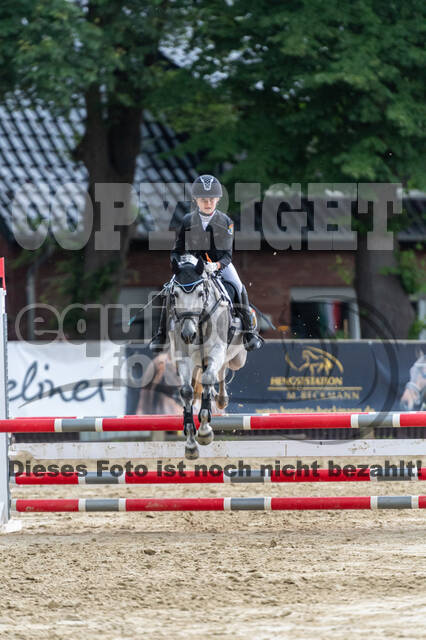 Goldene Schärpe 2021 - Ponys