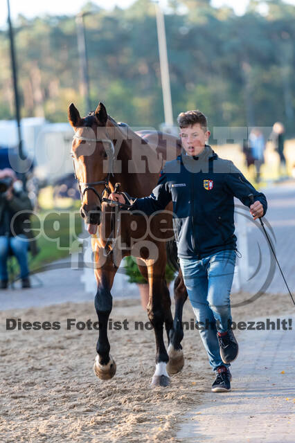 Deutsche Meisterschaft Vielseitigkeit (Luhmühlen)