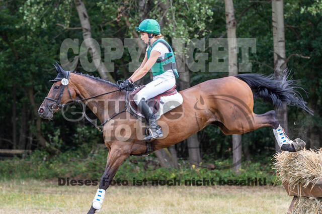 Late-Entry Vielseitigkeit Hamminkeln/Wesel (01.+02.08.2020)