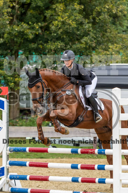 Vielseitigkeit RSV Wesel Obrighoven (26.+27.09.2020)