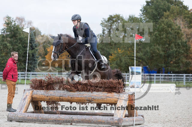 IGV Lehrgang der Sieger der Cups mit Frank Ostholt